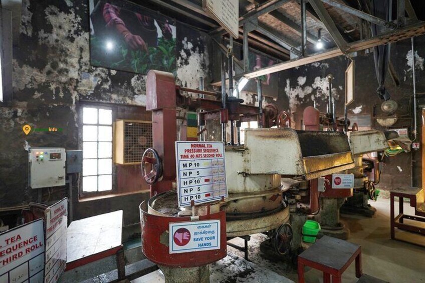 inside tea factory
