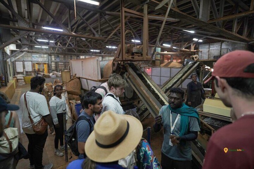 inside tea factory