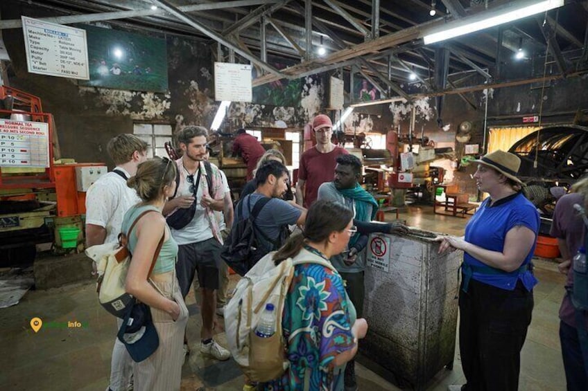 inside tea factory