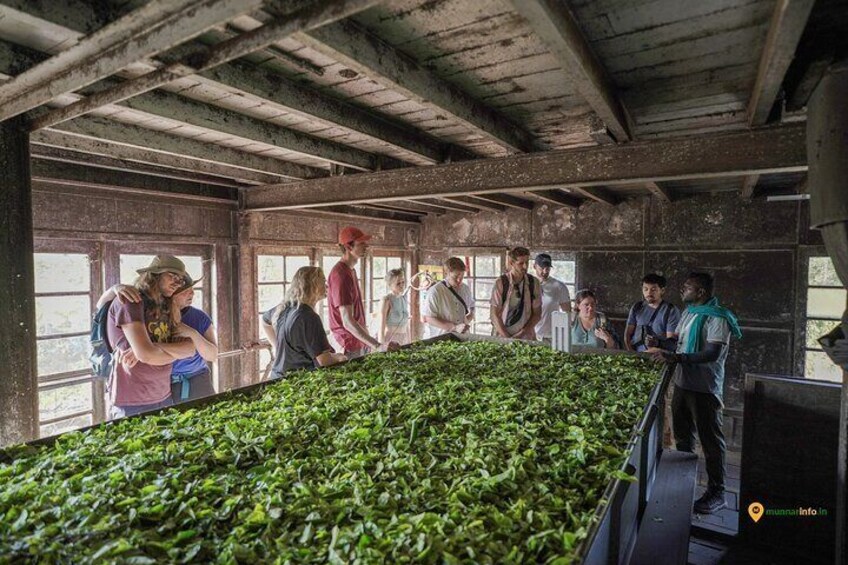 inside tea factory