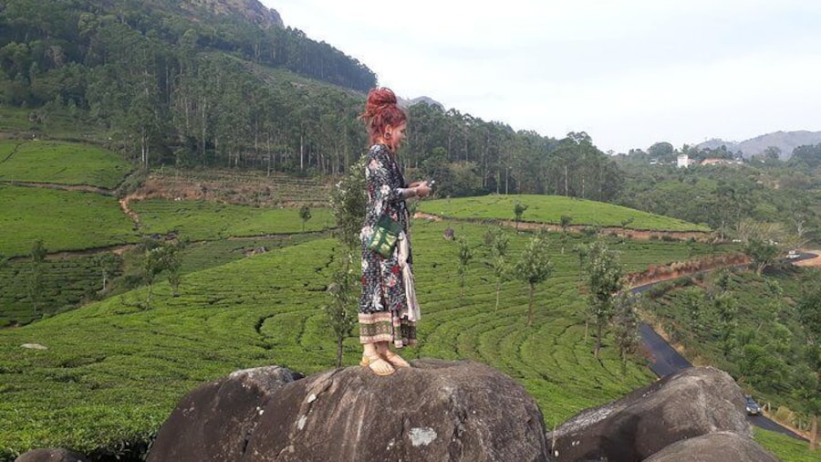 Tea Plantation Walk with Sunset View