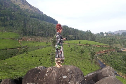 Tea Plantation Walk with Sunset View (By Munnar Info)