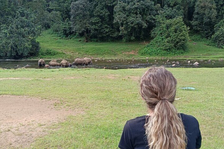 Wild Elephant Village( Anakulam) life tour ( By Munnar Info)