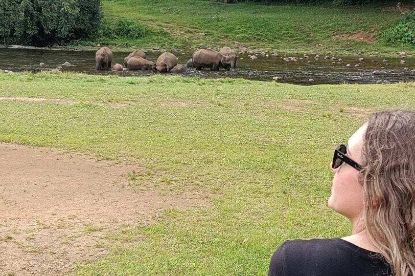 Wild Elephant Village( Anakulam) life tour ( By Munnar Info)