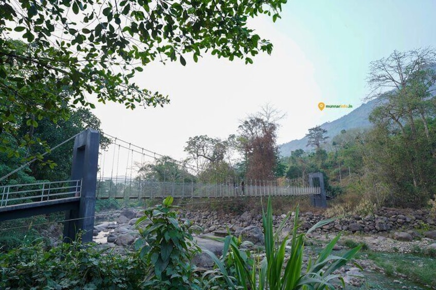 hanging bridge