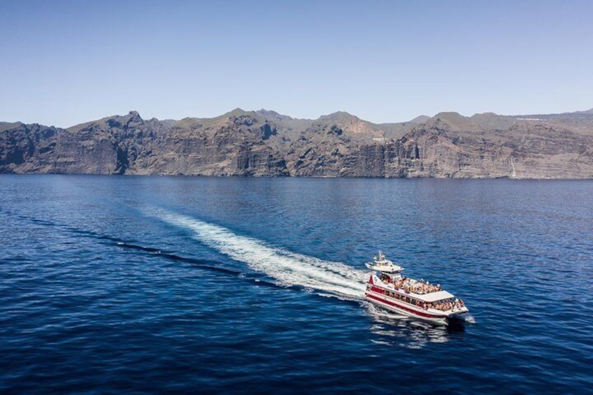 Royal Delfin - 4'5H Dolphin & Whale Watching - Los Gigantes Masca - Lunch & Swim