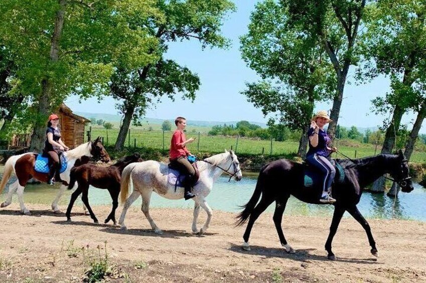 Private Horse Ridding tour (Mtsketa-Jvari-Chateau Mukhrani)