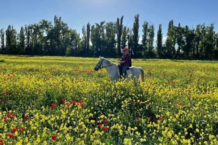 Private Horse Ridding tour (Mtsketa-Jvari-Chateau Mukhrani)