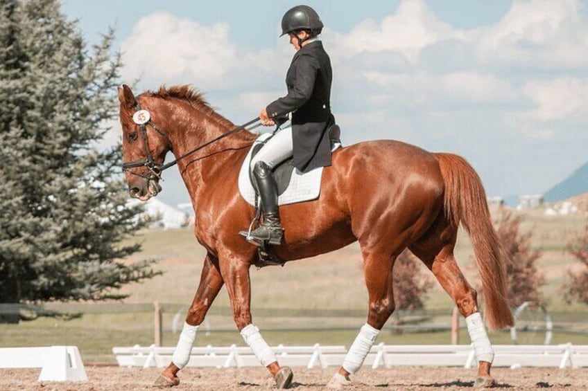 Private Horse Ridding tour