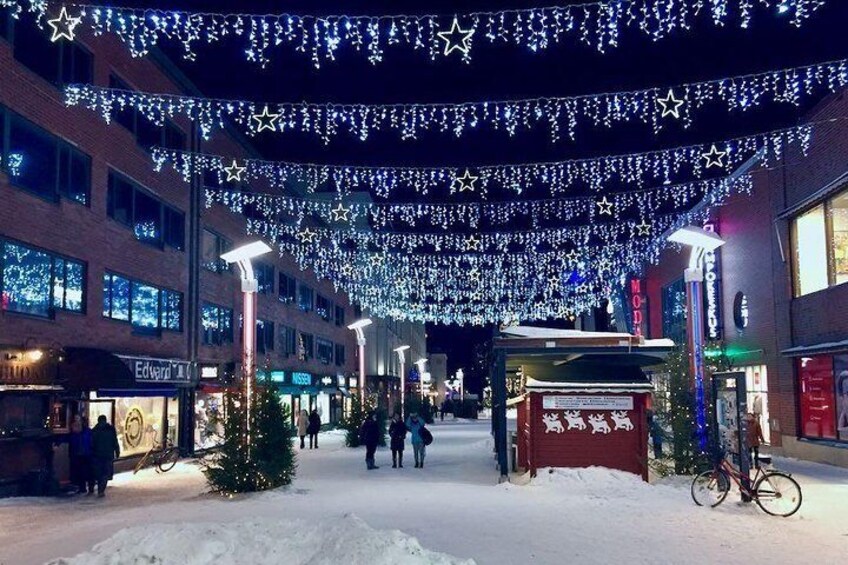 Rovaniemi Guided Tour and Santa Claus Village