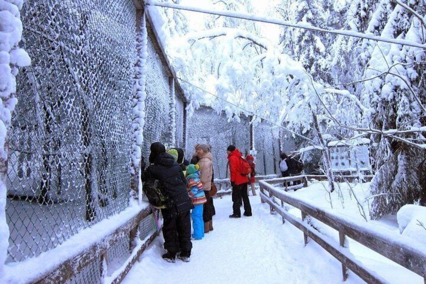 Private Guided Lapland Ranua Zoo tour from Rovaniemi