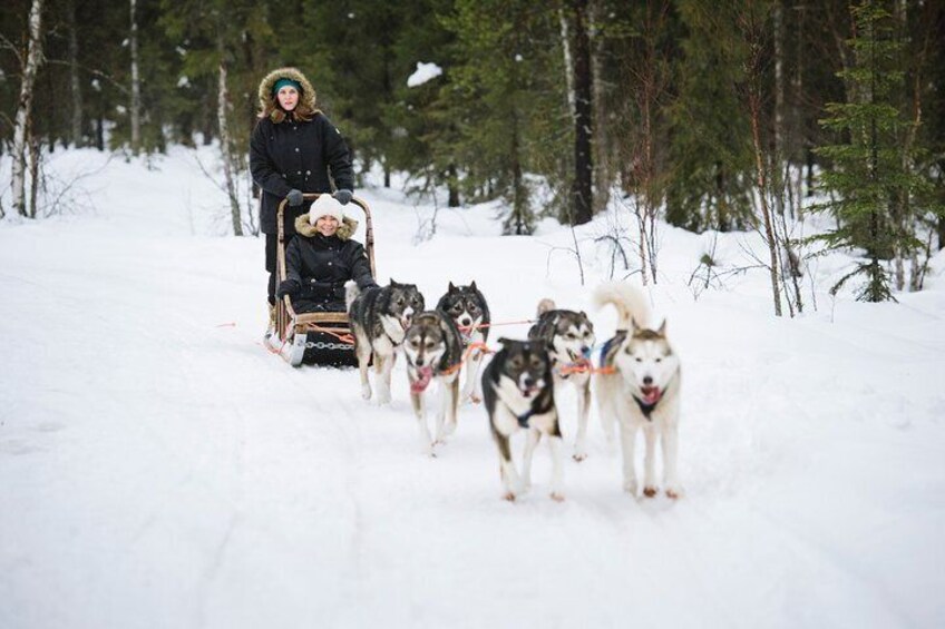 Dogsled Adventure Kiruna