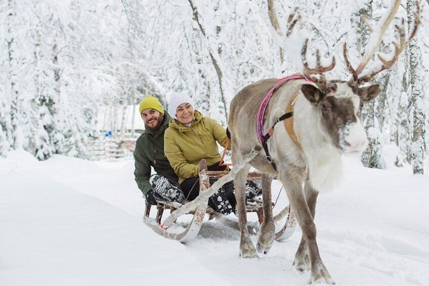 Lapland Reindeer and Husky Safari from Rovaniemi