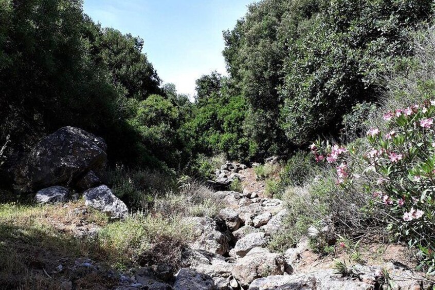 Aposelemis gorgewalk on Crete