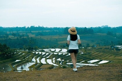 Fascinating UNESCO Site Tour in Bali