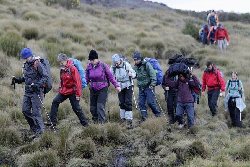 Kilimanjaro-rongai Route 7 Days Trekking