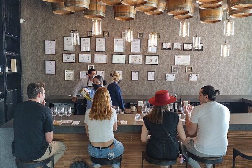 Local Vineyard, Tasting, and Culture Tour