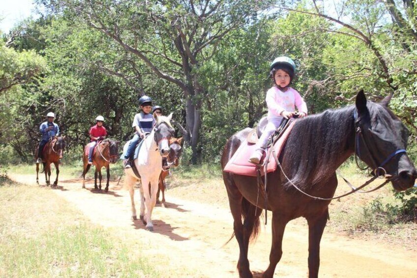 Aerial cableway & Horse Trail Safari