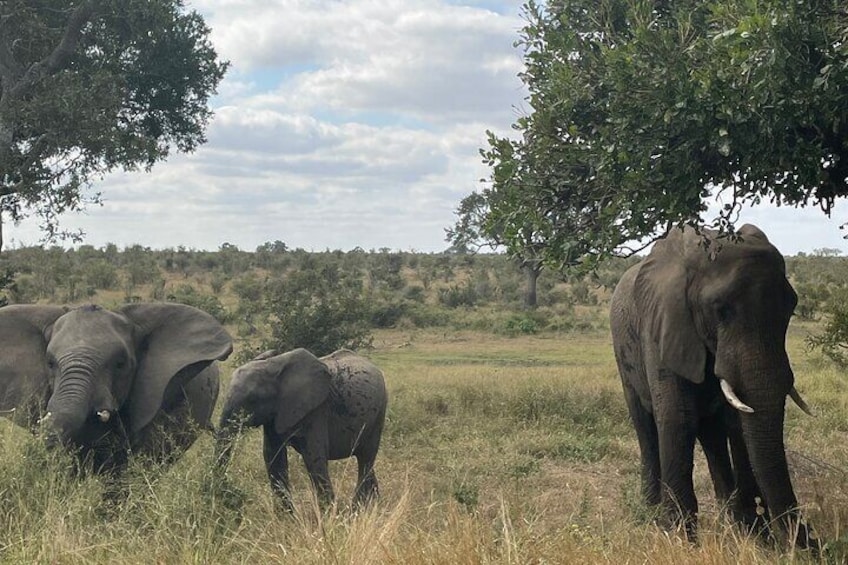 2 Day Kruger National Park Safari