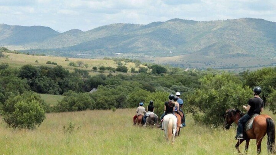 Horse Trail Safari Half day