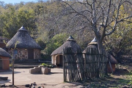 Lesedi cultural village half day tour