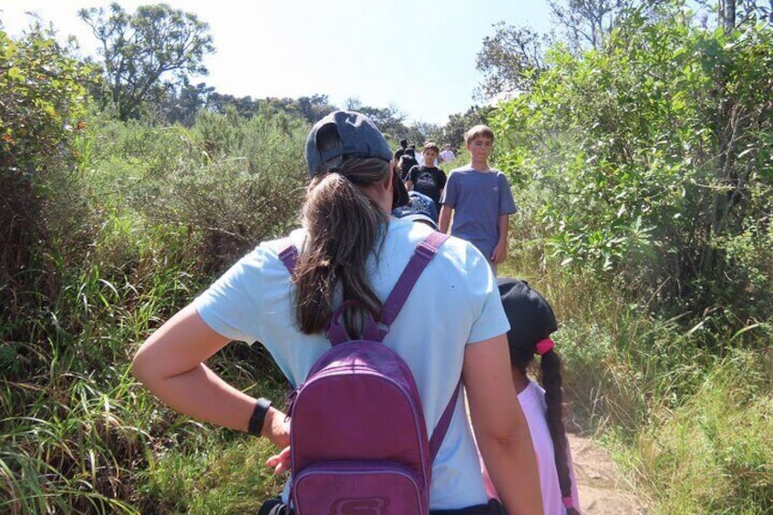 3 Day Kruger National Park Safari & Panorama Route 