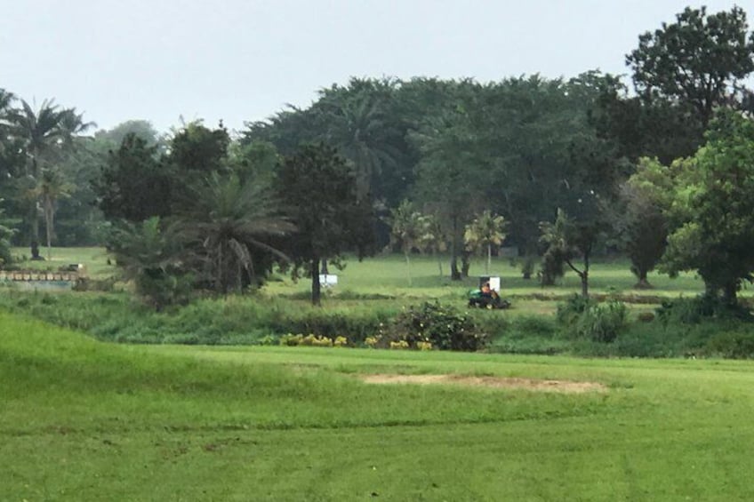 Beautiful landscape and lush greens for your round! Come see the coffee, cocoa, mangos grow !