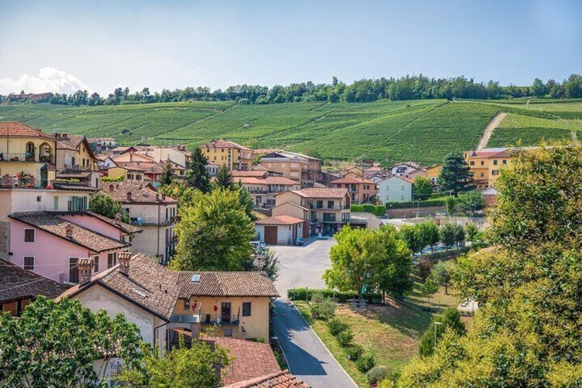 Barolo Wine Tour