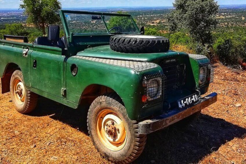 Show item 1 of 9. Cork Forest Safari