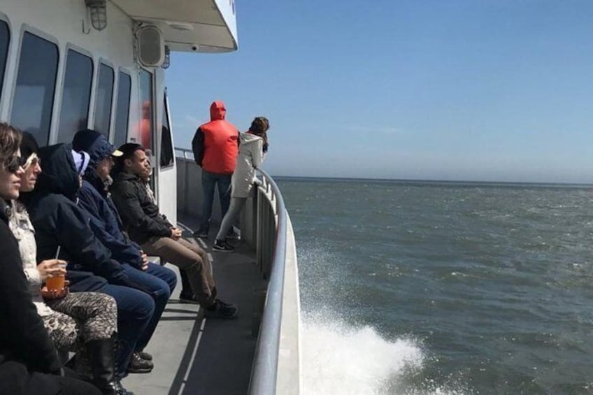 Show item 4 of 18. Whale and Dolphin Watching Cruise from Cape May