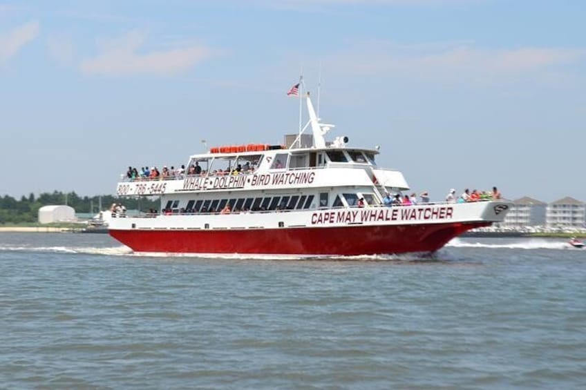 Dinner Cruise with Dolphin and Whale Watching from Cape May