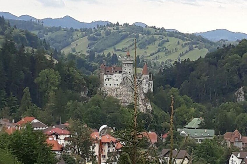 Peles Castle, Bran - Dracula's Castle & Brasov - Private Day Tour from Bucharest