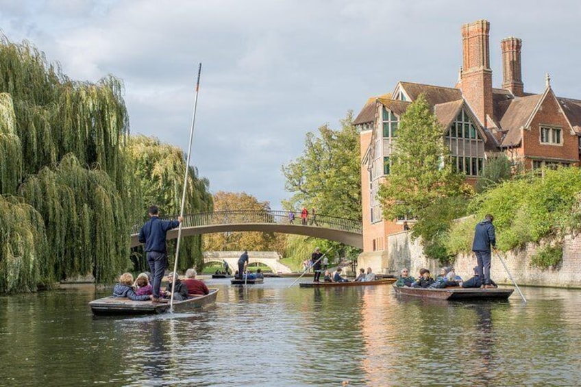 Distanced | Cambridge University Punting & Walking Tour Led By Alumni