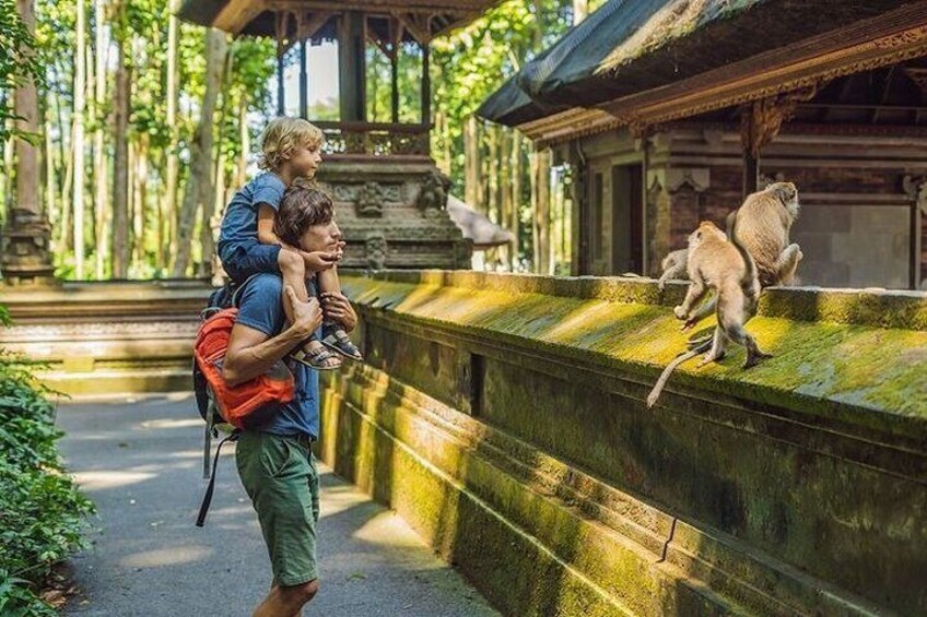 Bali ATV Quad Adventure - Ubud Monkey Forest and Waterfall