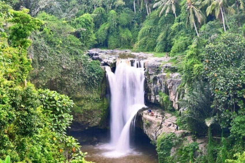 Bali ATV Quad Adventure - Ubud Monkey Forest and Waterfall