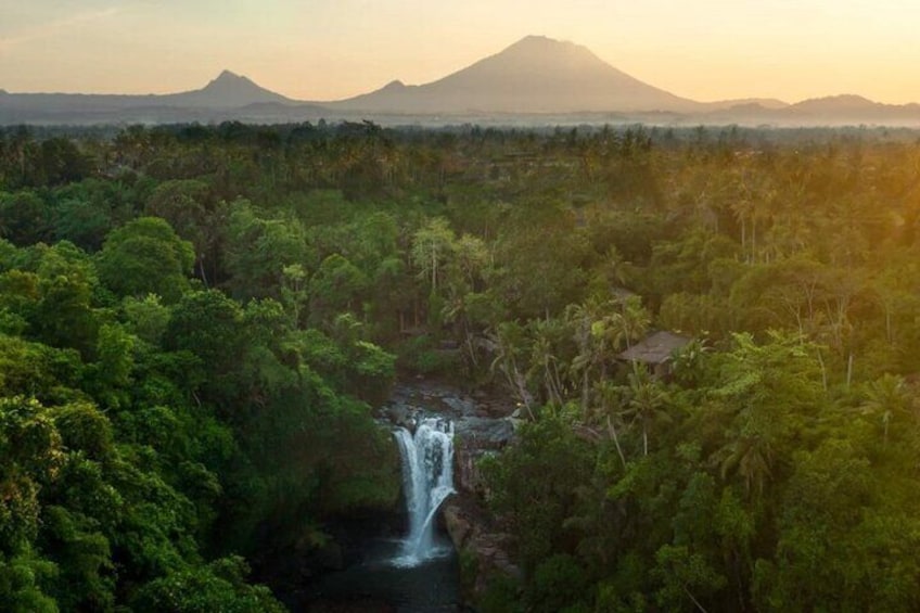 Bali ATV Quad Adventure - Ubud Monkey Forest and Waterfall