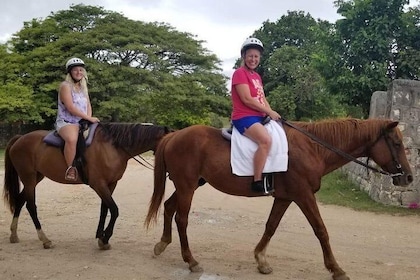Braco Stables Horseback Ride and Swim Excursion from Runaway Bay
