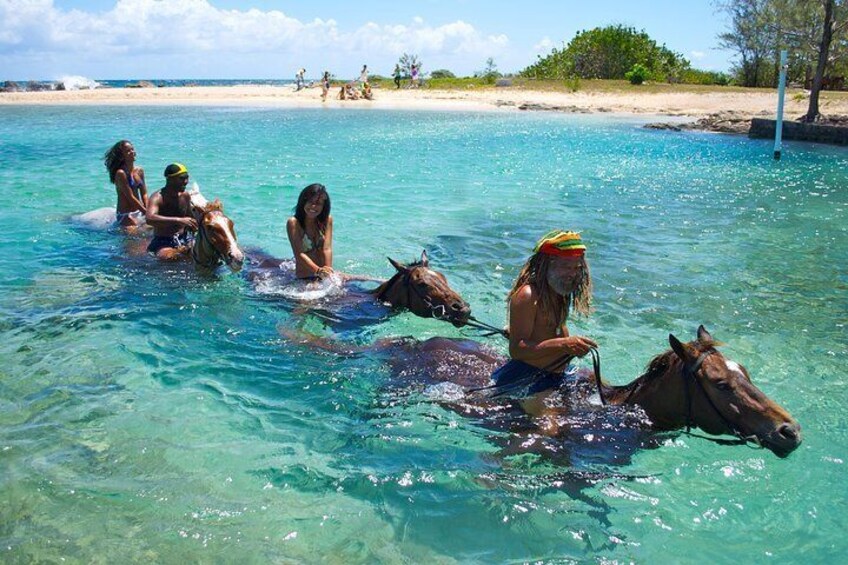 Swim and frolic with the horse in the magnificent Caribbean Sea