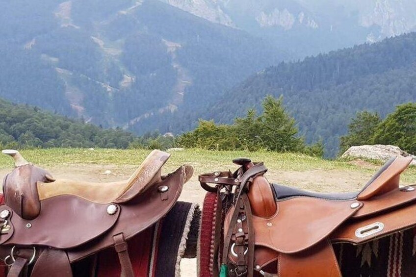 Horseback riding - Nationalni park Biogradska Gora