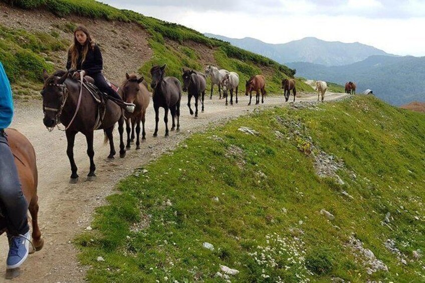 Horseback riding - Nationalni park Biogradska Gora