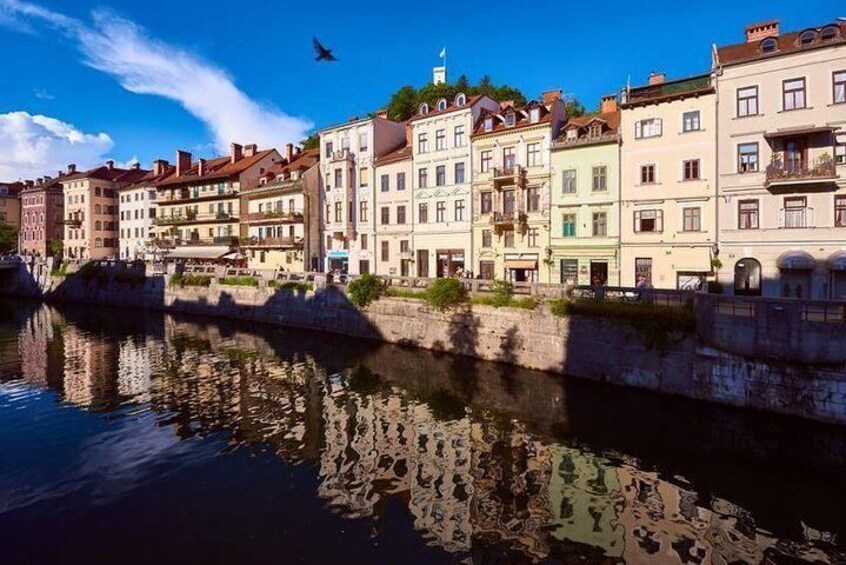 Private city tour of Ljubljana. 4 hours with a friendly and fun local guide.