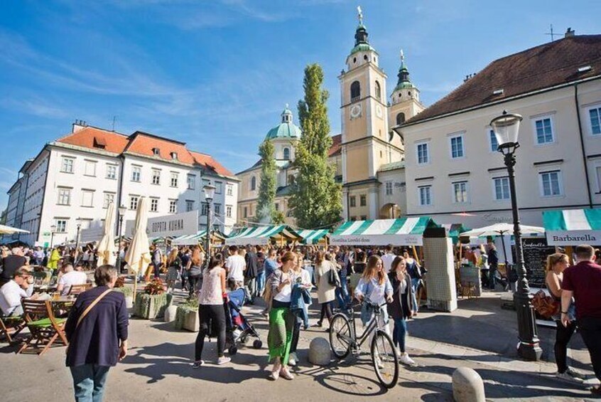 Private city tour of Ljubljana. 2 hours with a friendly and fun local guide.