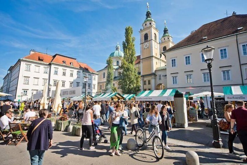 Private city tour of Ljubljana. 2 hours with a friendly and fun local guide.