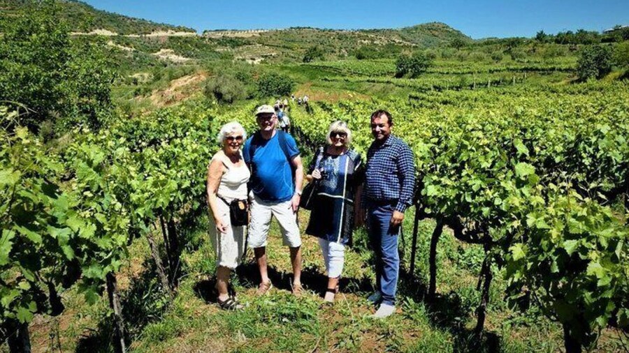 Winetasting tour in Alpeta winery - Roshnik village by 1001 Albanian Adventures