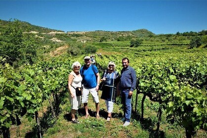 Winetasting tour in Alpeta winery - Roshnik village by 1001 Albanian Advent...