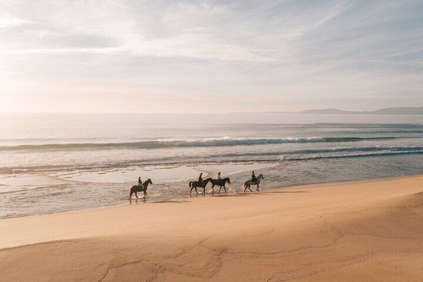 Horse Riding Tour on the Beach Lisbon region