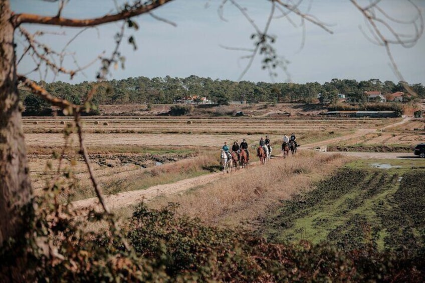 Horse Riding Tour on the Beach Lisbon region