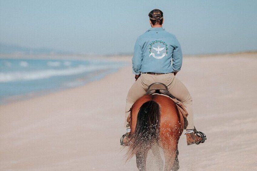 Horse Riding Tour on the Beach Lisbon region