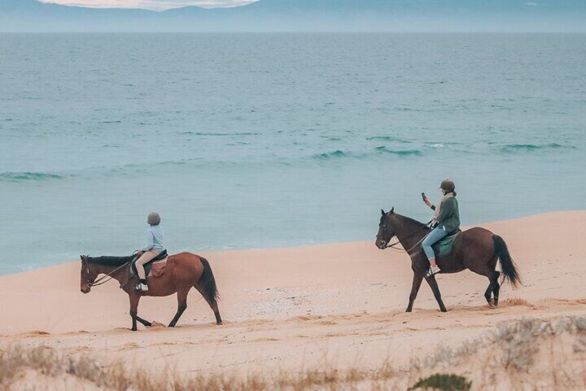 Horse Riding Tour on the Beach Lisbon region