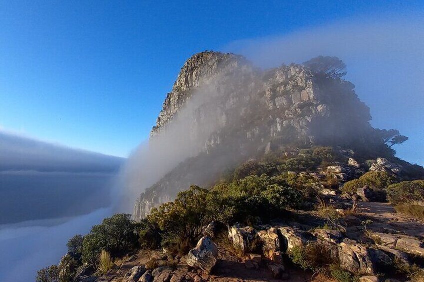 Hike Lion's Head Sunset Tour